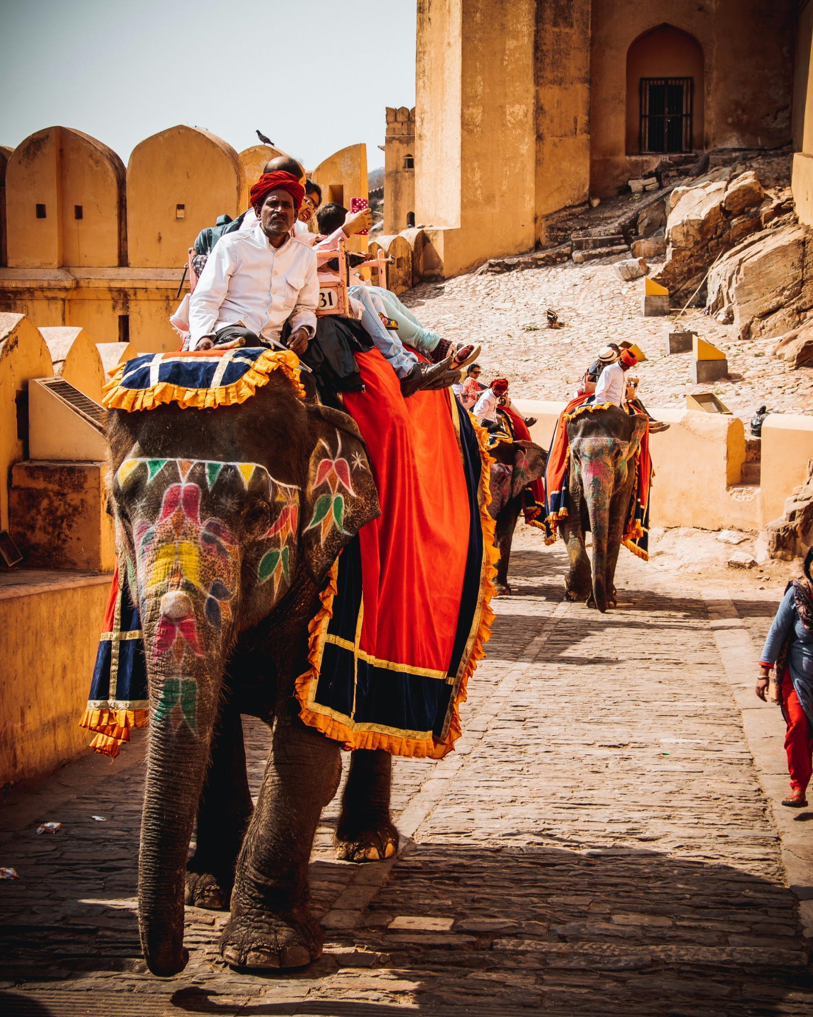 Amer Fort Jaipur